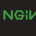 解決 Nginx conflicting server name 問題
