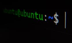 Featured image of post 在 Windows 使用 WSL2 操作 Ubuntu 系統